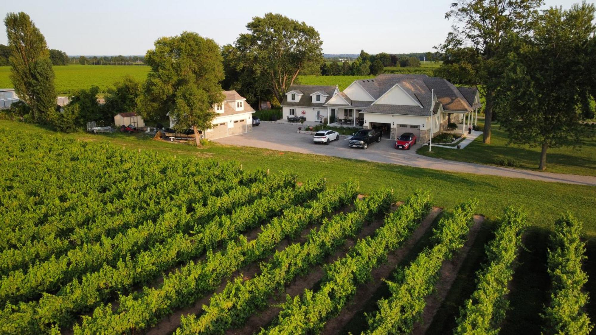 Villa In The Vines Niagara-on-the-Lake Bagian luar foto